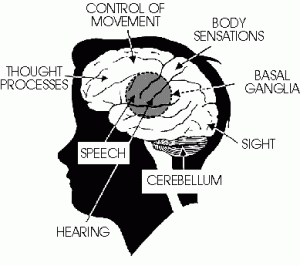 cerebral-palsy-2